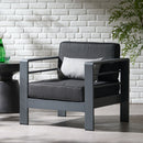 Cape Coral - Club Chair - Dark Gray