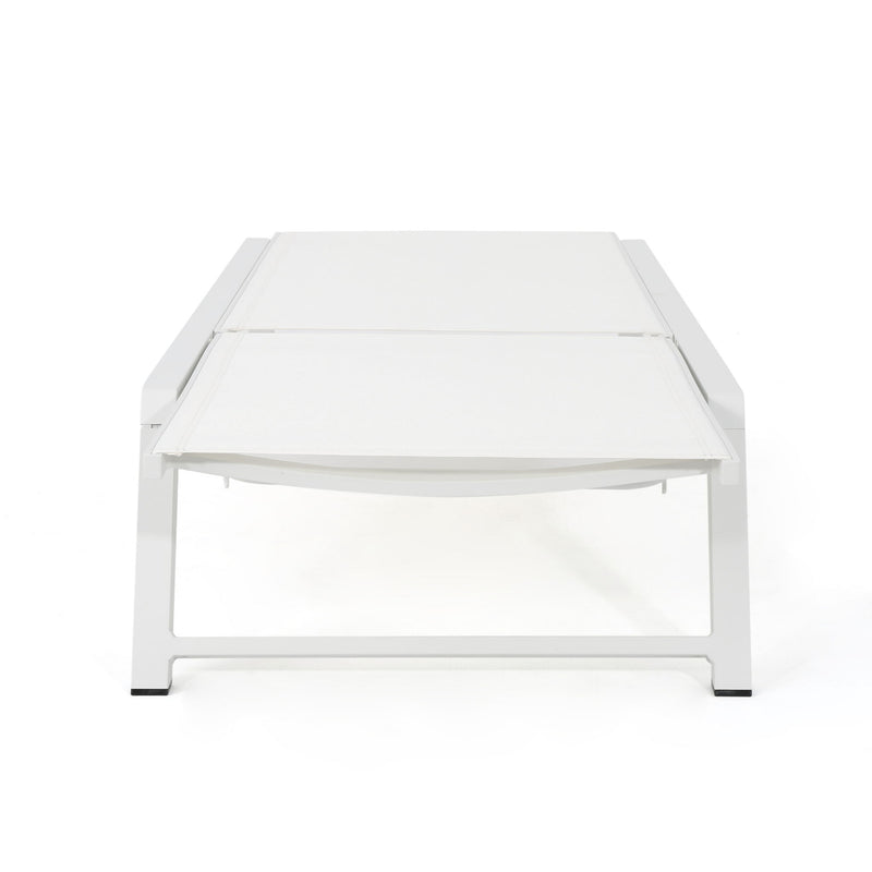 Myers - Modern Chaise Lounge Set With Adjustable Mesh Back