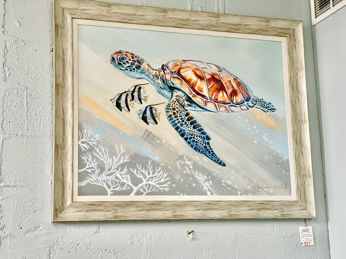 Anastasia Musick framed sea turtle print on the wall at Atlantic Fine Furniture Melbourne FL