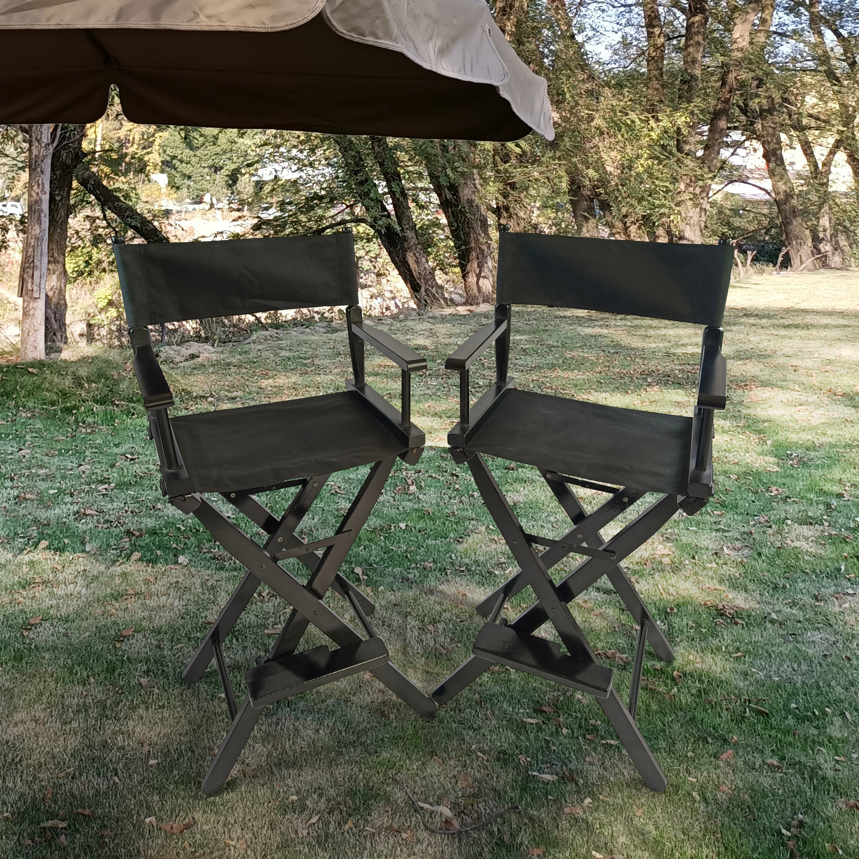Casual Home Director\ - Atlantic Fine Furniture Incs Chair , Black Frame/Black Canvas，Suitable for adults, foldable style， 2pcs/set populus - Atlantic Fine Furniture Inc
