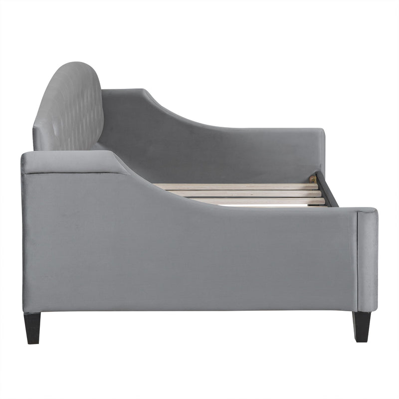 Modern Luxury Tufted Button Daybed, Twin, Gray - Gray